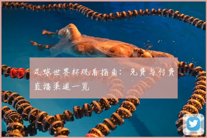 足球世界杯观看指南:免费与付费直播渠道一览