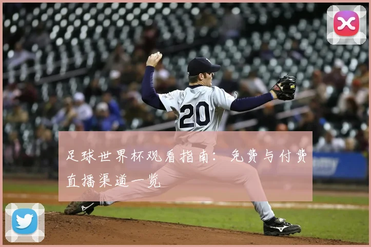足球世界杯观看指南:免费与付费直播渠道一览