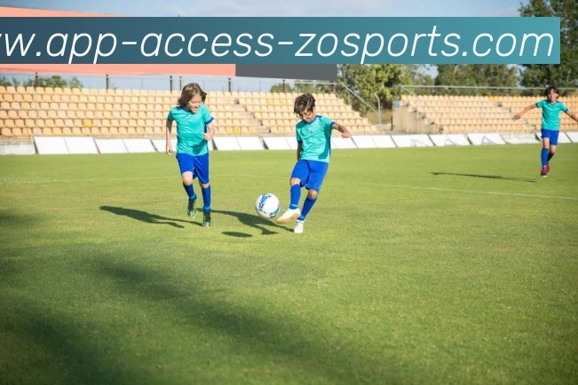 中欧体育APP平台生态图